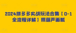 2024拼多多实战玩法合集【0-1全流程详解】照葫芦画瓢-网创学习资源