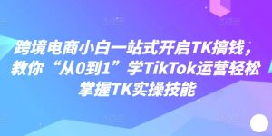 跨境电商小白一站式开启TK搞钱，教你“从0到1”学TikTok运营轻松掌握TK实操技能-网创学习资源