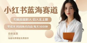 小红书蓝海赛道，圈中高端职场人，月入无上限，可矩阵，内含私域实操教程!-网创学习资源
