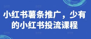小红书薯条推广，少有的小红书投流课程-网创学习资源
