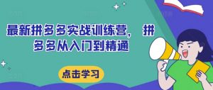 最新拼多多实战训练营， 拼多多从入门到精通-网创学习资源