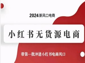 2024新风口电商，小红书无货源电商，带第一批冲进小红书电商风口-网创学习资源