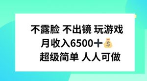 不露脸 不出境 玩游戏，月入6500 超级简单 人人可做【揭秘】-网创学习资源