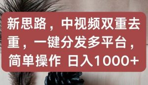 新思路，中视频双重去重，一键分发多平台，简单操作，日入1000+【揭秘】-网创学习资源