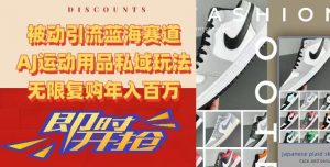 被动引流蓝海赛道，AJ运动用品私域玩法，无限复购年入百万【揭秘】-网创学习资源