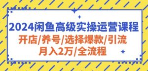 2024闲鱼高级实操运营课程：开店/养号/选择爆款/引流/月入2万/全流程-网创学习资源