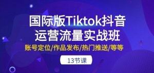 国际版Tiktok抖音运营流量实战班：账号定位/作品发布/热门推送/等等-13节-网创学习资源