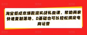 淘宝低成本爆款流实战私教课，帮助商家快速复制落地，0基础也可以轻松搞定电商运营-网创学习资源
