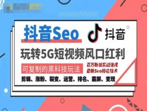 抖音SEO引流培训课程-抓住抖音风口，实现搜索排名，获取精准流量，快速成交变现-网创学习资源