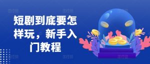 短剧到底要怎样玩，新手入门教程-网创学习资源