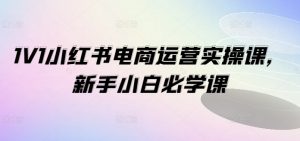 1V1小红书电商运营实操课，新手小白必学课-网创学习资源