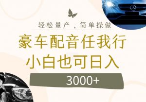 不为人知的暴力小项目，豪车配音，日入几张【揭秘】-网创学习资源