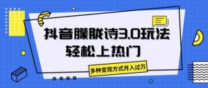 抖音朦胧诗3.0.轻松上热门，多种变现方式月入过万【揭秘】-网创学习资源