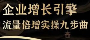 企业增长引擎流量倍增实操九步曲，一套课程帮你找到快速、简单、有效、可复制的获客+变现方式，-网创学习资源