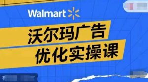 沃尔玛广告优化实操课，广告报告实操讲解，广告如何提高转化和ROAS等-网创学习资源