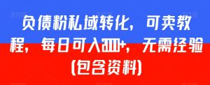 负债粉私域转化，可卖教程，每日可入2000+，无需经验（包含资料）【揭秘】-网创学习资源