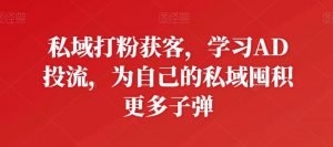 私域打粉获客，学习AD投流，为自己的私域囤积更多子弹-网创学习资源