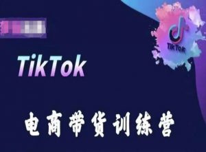 TikTok电商带货训练营，跟随时代潮流，跨境掘金-网创学习资源