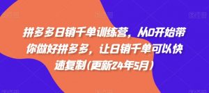 拼多多日销千单训练营，从0开始带你做好拼多多，让日销千单可以快速复制(更新24年10月)-网创学习资源