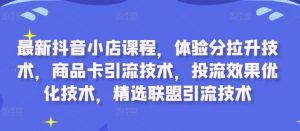 最新抖音小店课程，体验分拉升技术，商品卡引流技术，投流效果优化技术，精选联盟引流技术-网创学习资源