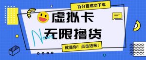 虚拟卡无限撸货，百分百成功下车【仅揭秘】-网创学习资源