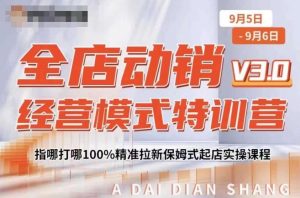 全店动销经营模式特训营，指哪打哪100%精准拉新保姆式起店实操课程-网创学习资源