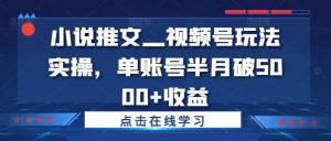 小说推文—视频号玩法实操，单账号半月破5000+收益-网创学习资源