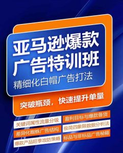 亚马逊爆款广告特训班，快速掌握亚马逊关键词库搭建方法，有效优化广告数据并提升旺季销量-网创学习资源