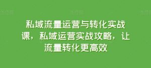 私域流量运营与转化实战课，私域运营实战攻略，让流量转化更高效-网创学习资源