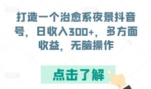 打造一个治愈系夜景抖音号，日收入300+，多方面收益，无脑操作【揭秘】-网创学习资源