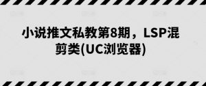 小说推文私教第8期，LSP混剪类(UC浏览器)-网创学习资源