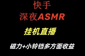快手深夜ASMR挂机直播，磁力+小铃铛收益（附带工具和5G素材）【揭秘】-网创学习资源