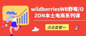 wildberriesWB野莓/OZON本土电商系列课，掌握WB产品优化，出单技巧和订单处理等-网创学习资源