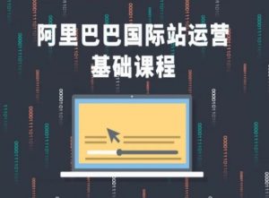 阿里巴巴国际站课程，阿里巴巴国际站运营基础课程-网创学习资源