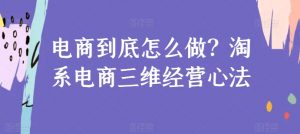 电商到底怎么做？淘系电商三维经营心法-网创学习资源