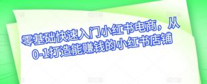 零基础快速入门小红书电商，从0-1打造能赚钱的小红书店铺-网创学习资源