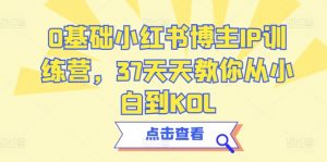 0基础小红书博主IP训练营，37天天教你从小白到KOL-网创学习资源