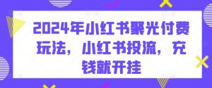 2024年小红书聚光付费玩法，小红书投流，充钱就开挂-网创学习资源