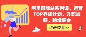 阿里国际站系列课，运营TOP养成计划，升职加薪，跨境掘金-网创学习资源