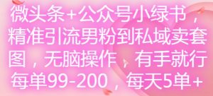 微头条+公众号小绿书，精准引流男粉到私域卖套图，无脑操作，有手就行，每单99-200，每天5单-网创学习资源
