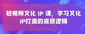 短视频文化IP课，学习文化IP打造的底层逻辑-网创学习资源
