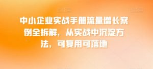 中小企业实战手册流量增长案例全拆解，从实战中沉淀方法，可复用可落地-网创学习资源