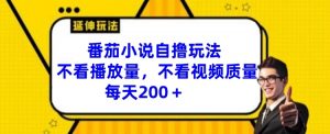 番茄小说自撸玩法，不看播放量，不看视频质量，每天200+【揭秘】-网创学习资源