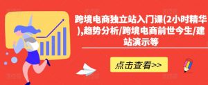 跨境电商独立站入门课(2小时精华),趋势分析/跨境电商前世今生/建站演示等-网创学习资源