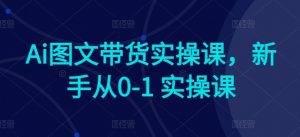 Ai图文带货实操课，新手从0-1 实操课-网创学习资源