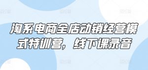 淘系电商全店动销经营模式特训营，线下课录音-网创学习资源