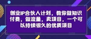 创业IP合伙人计划，教你做知识付费，做流量，卖项目，一个可以持续很久的优质项目-网创学习资源