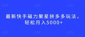 最新快手磁力聚星拼多多玩法，轻松月入5000+【揭秘】-网创学习资源
