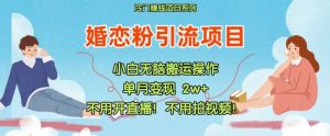 小红书婚恋粉引流，不用开直播，不用拍视频，不用做交付【揭秘】-网创学习资源