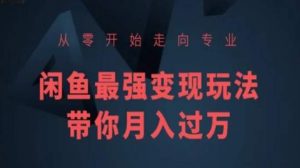 从零开始走向专业，闲鱼最强变现玩法带你月入过万-网创学习资源